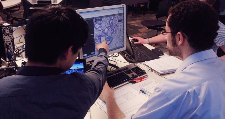 Students at the University of New South Wales using the new collaborative annotation features